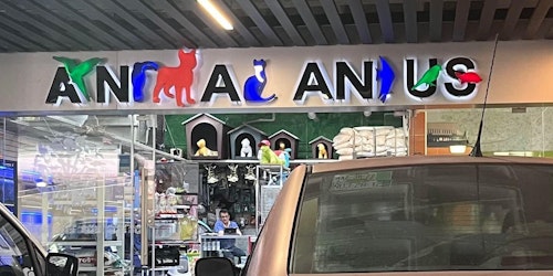 A shop sign that reads 'Animal Anus'