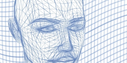 A human head forms from grid lines