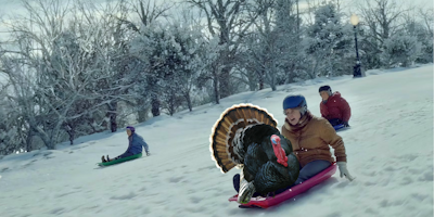 Amazon's 'Joyride' ad, complete with an additional Turkey